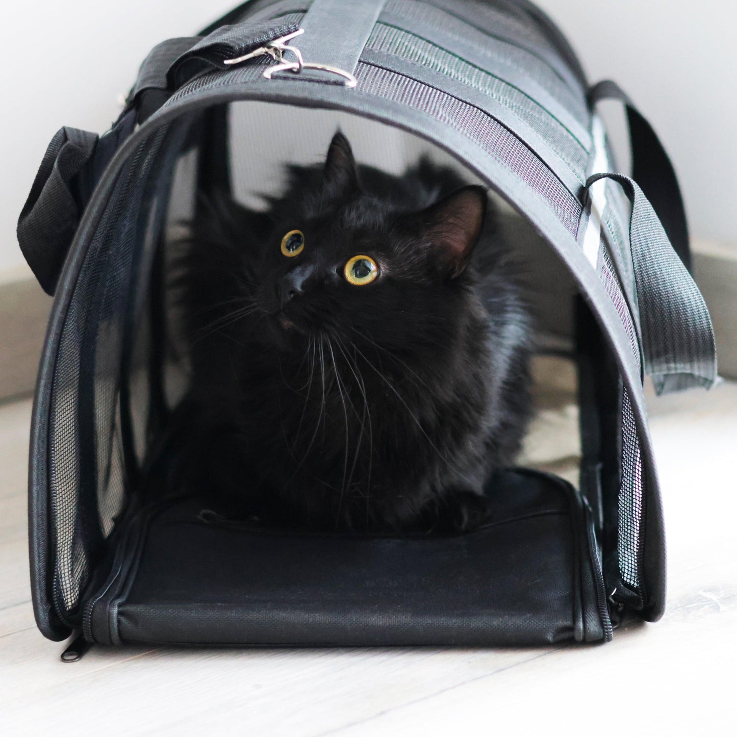 Sac de transport pour chat Pattounerie