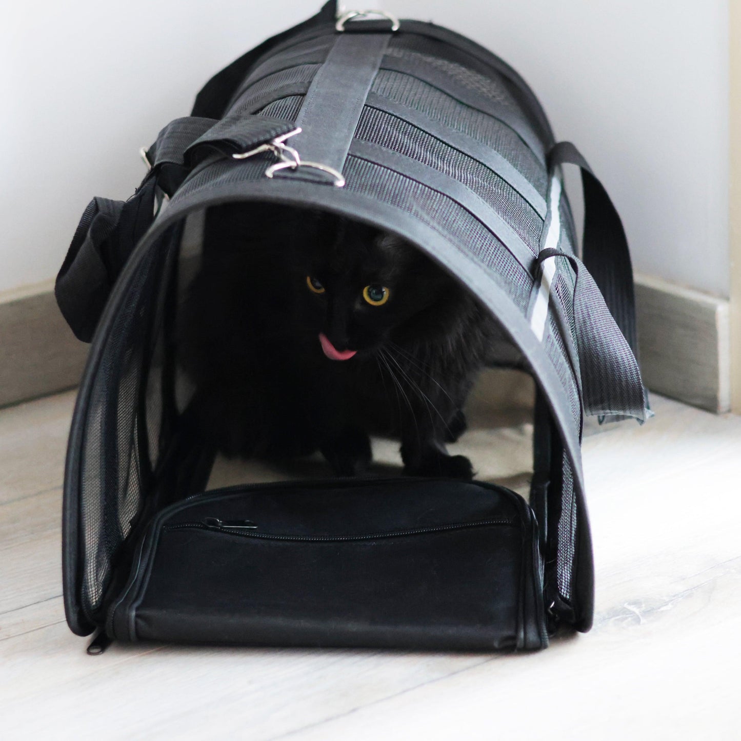Sac de transport pour chat Pattounerie