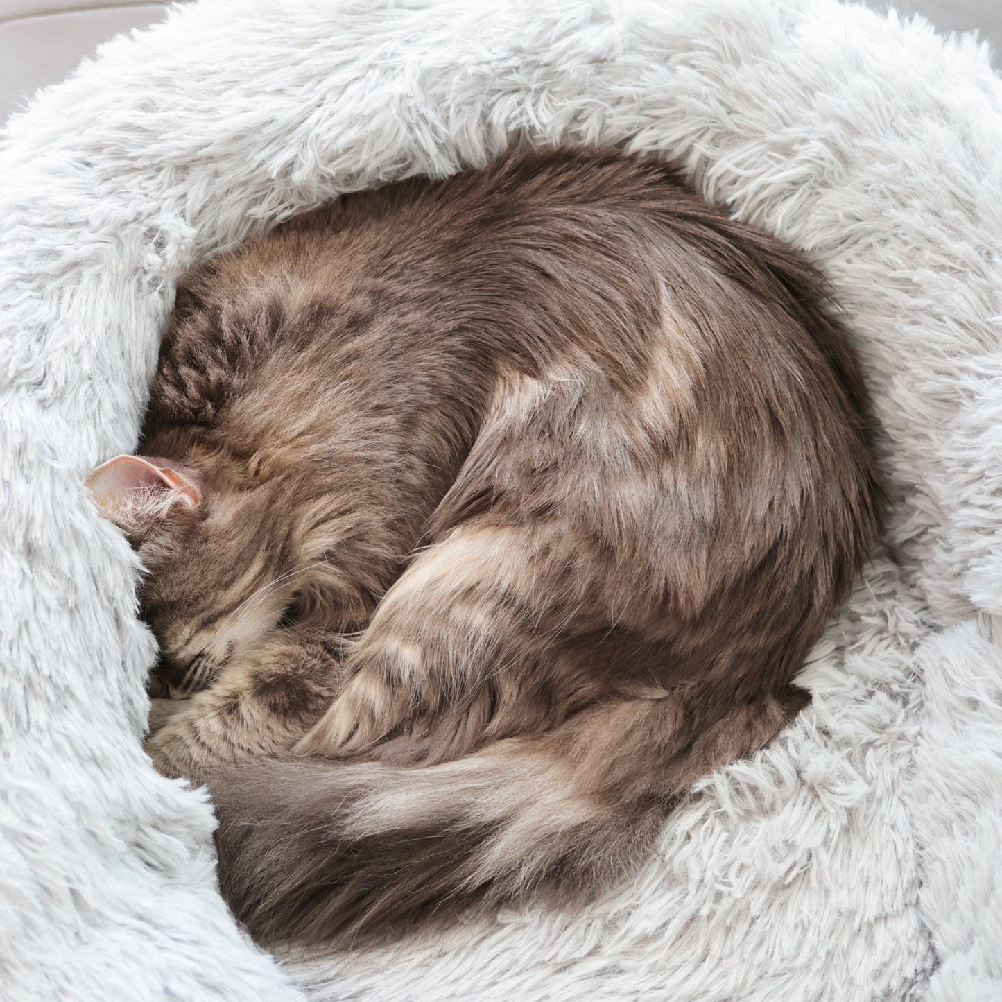 Coussin ultra moelleux pour chat