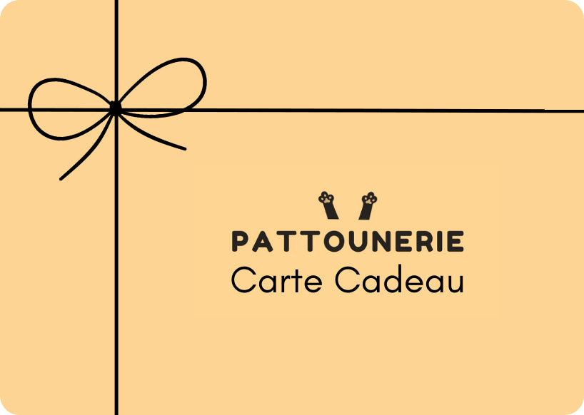 e-Carte cadeau Pattounerie Pattounerie