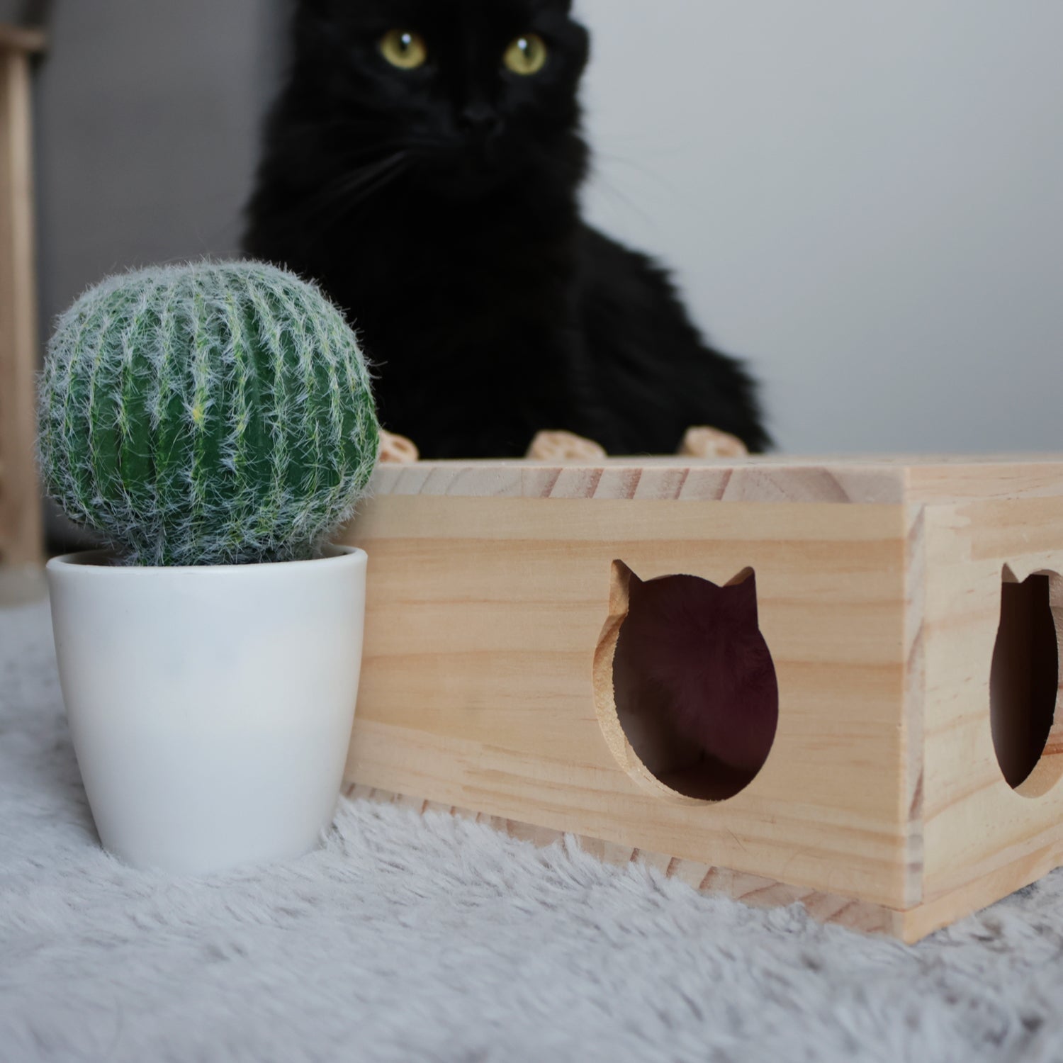 Jouet pour chat en bois pattes de chat Pattounerie