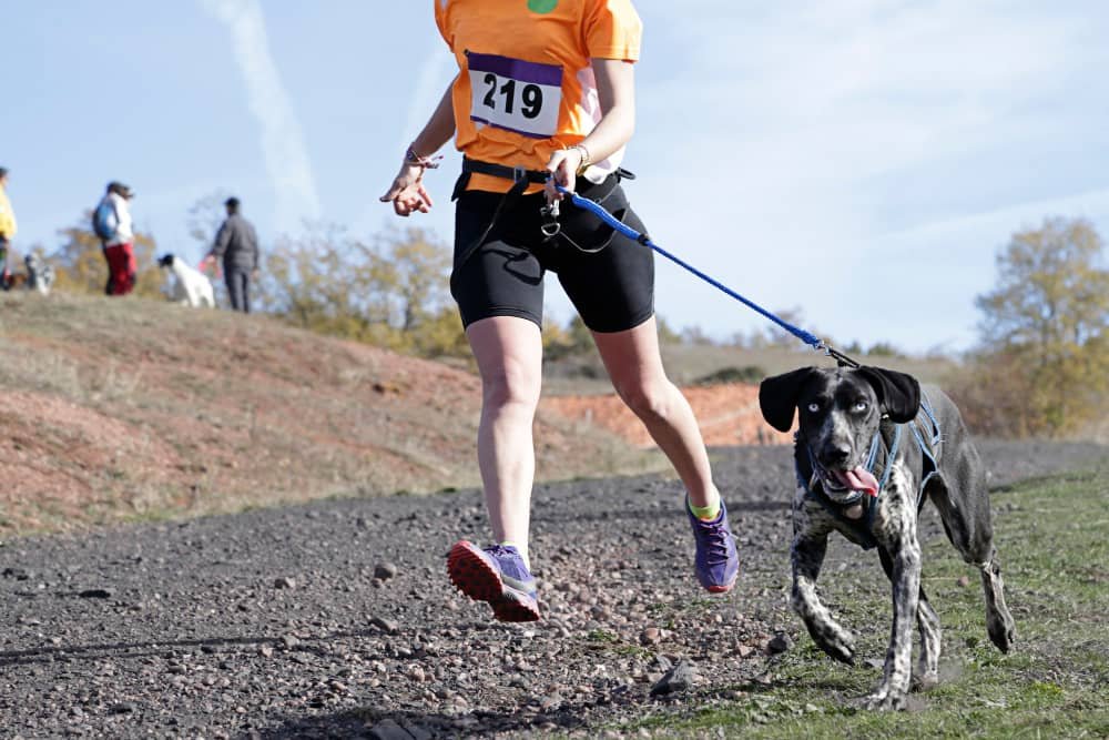 Chien et femme prenant part une course populaire de canicross