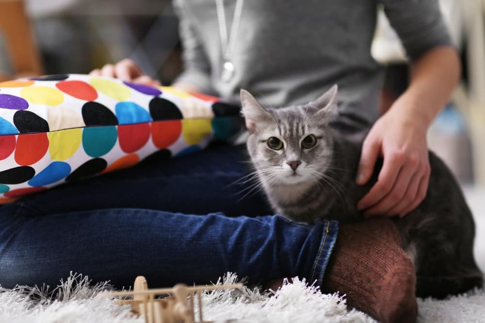 Femme assise avec un chat sur un tapis Femme assise avec un chat sur un tapis