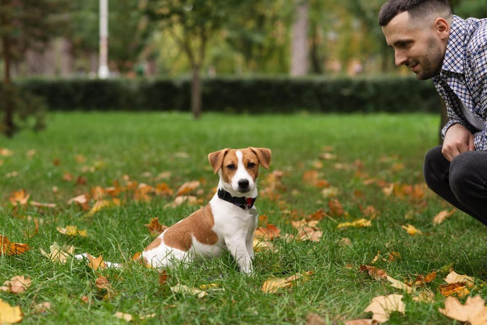 Un homme en vêtements décontractés jouant avec un chien