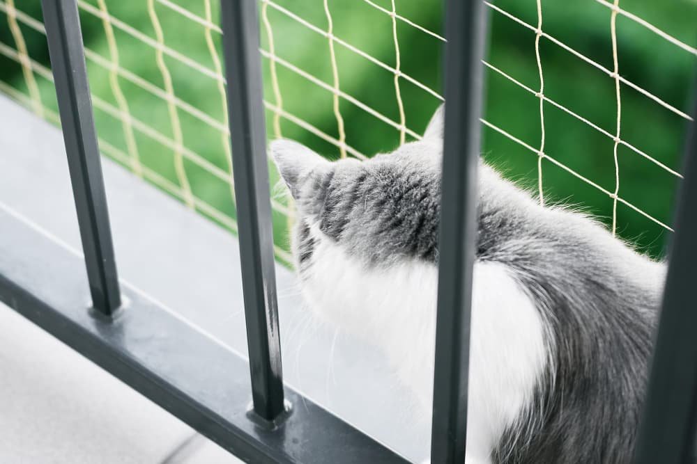 Filet protection pour chat