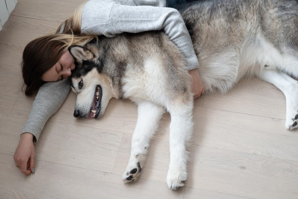 jolie femme embrassant chien Jolie femme embrassant chien